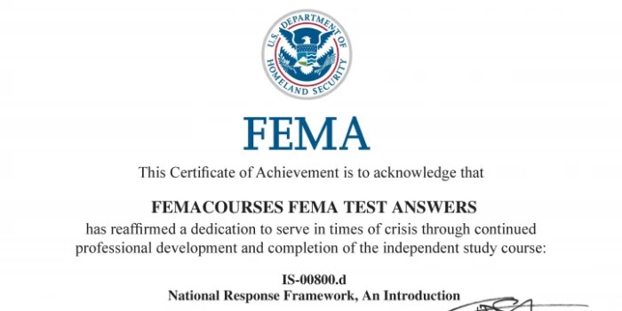 Fema is 800 exam answers