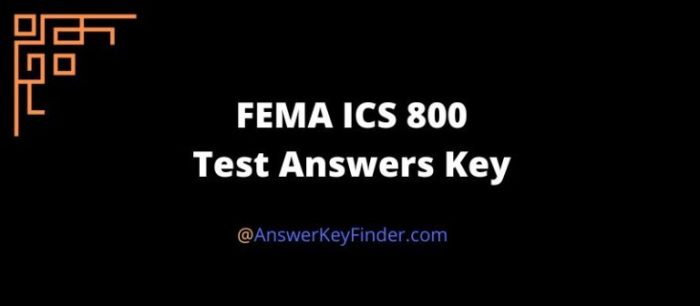 Fema is 800 exam answers