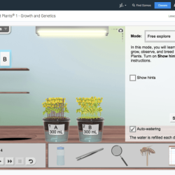 Fast plants 2 gizmo answer key