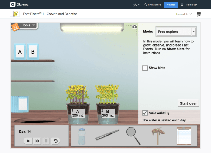 Fast plants 2 gizmo answer key