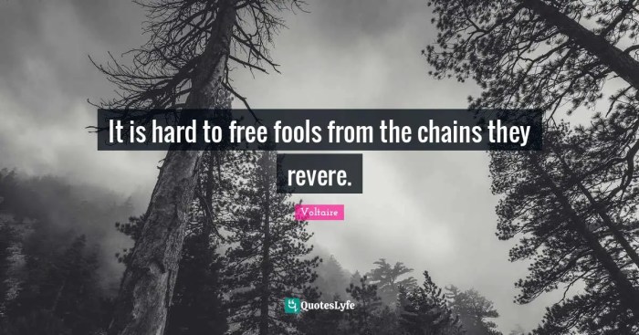 It is hard to free fools from the chains