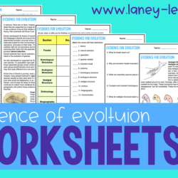 Evidence of evolution pogil answer key