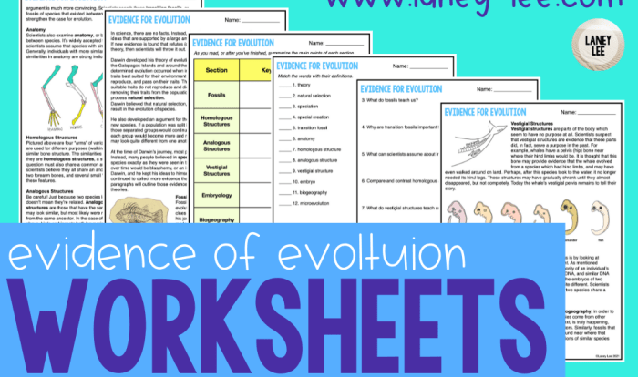 Evidence of evolution pogil answer key