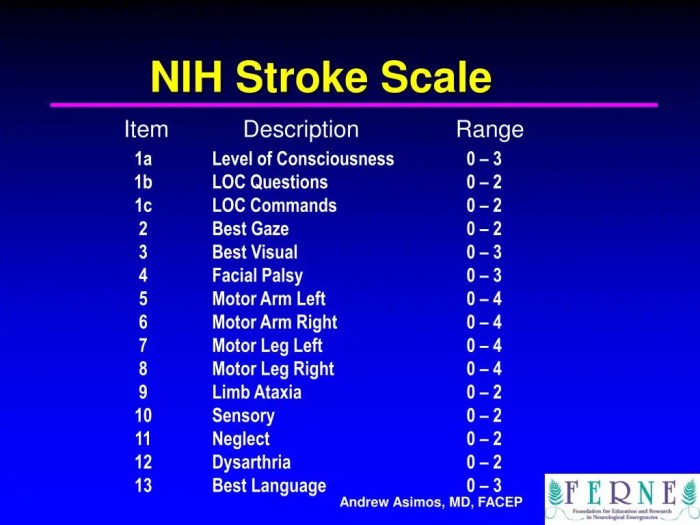 Nih stroke scale answers group d