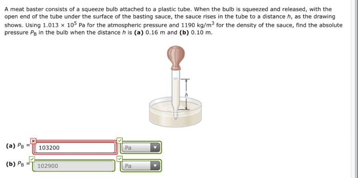 A meat baster consists of a squeeze bulb