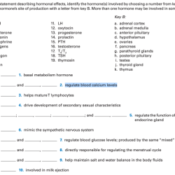 For each statement describing hormonal effects