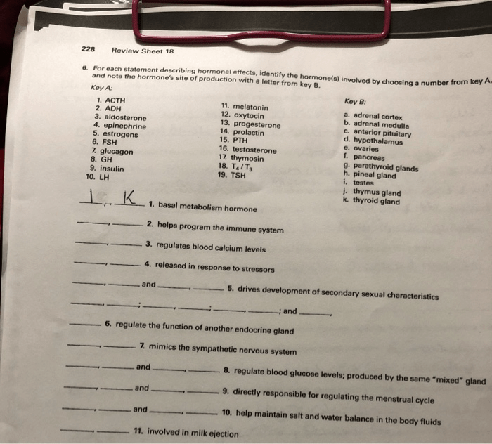 For each statement describing hormonal effects