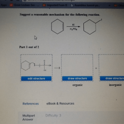 Reasonable suggest reaction answer mechanism sure parts following transcribed text show